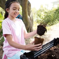 storey-transplanting-tips-kid-gardeners