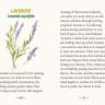 The guidebook entry for Lavender from “Forest Magic Oracle”