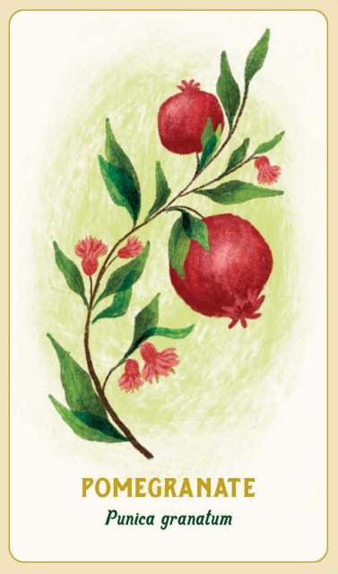 The Pomegranate card from “Forest Magic Oracle”