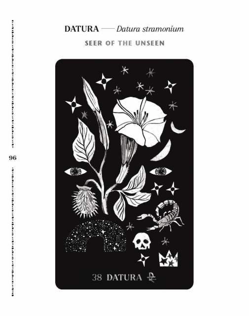 Interior spread from “Dirt Gems” showing the first page of the entry for the Datura card