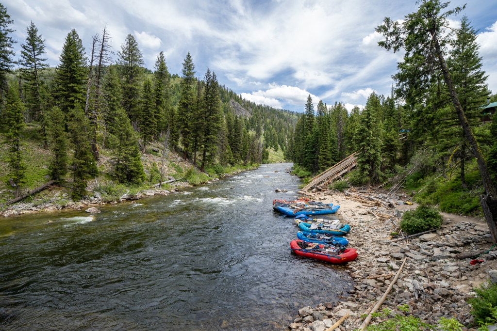Colorful rafts sit along the shore of a river cutting through an evergreen forest.