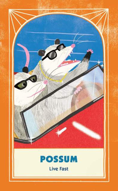 The “Possum: Live Fast” card from “Trash Animals Oracle: Inspiration and Guidance from Chaotic Creatures”