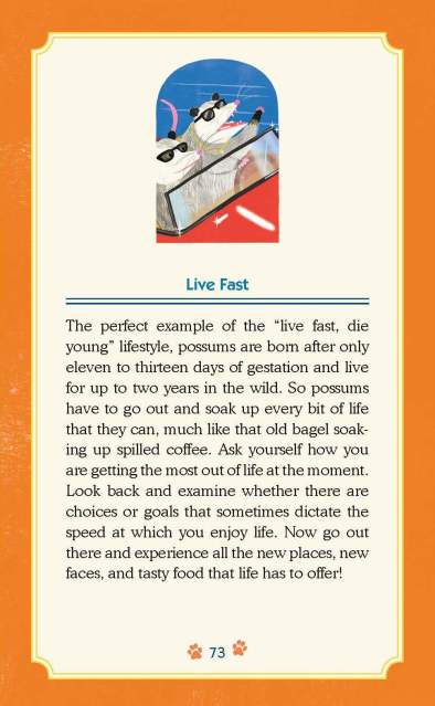 The guidebook entry for “Possum: Live Fast” from “Trash Animals Oracle: Inspiration and Guidance from Chaotic Creatures”