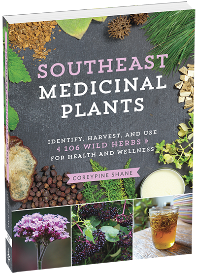 Southeast Medicinal Plants. Identify, harvest, and use wild medicinal herbs for health and wellness. 