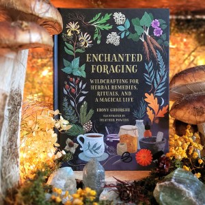 Photo of "Enchanted Foraging" standing among mushrooms and other natural decor