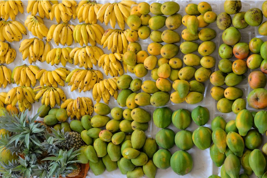 A bountiful assortment of fresh fruit, including bananas, coconuts, and pineapple.
