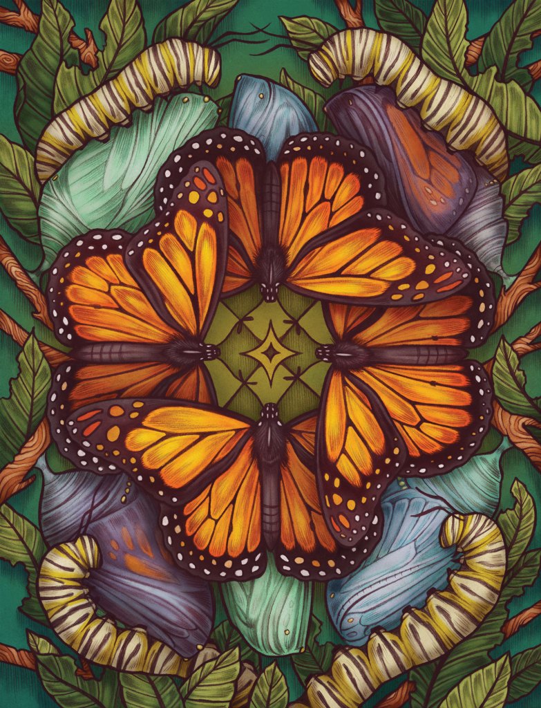 Illustration of monarch butterflies.