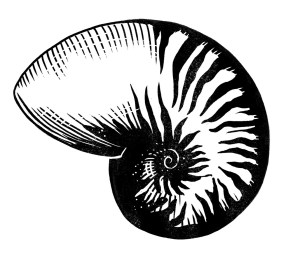 Line illustration of a shell from "Take Back the Magic"