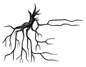 Line illustration of a tree's roots from "Take Back the Magic"