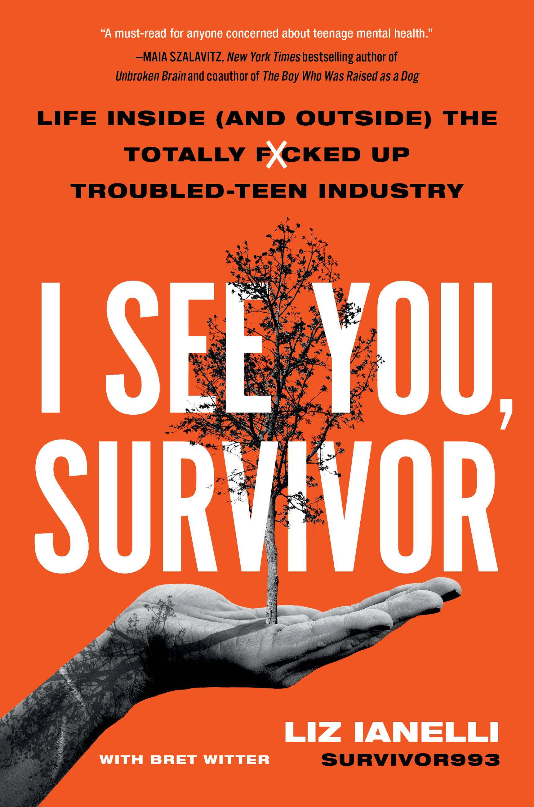 I See You, Survivor by Liz Ianelli Hachette Book Group pic