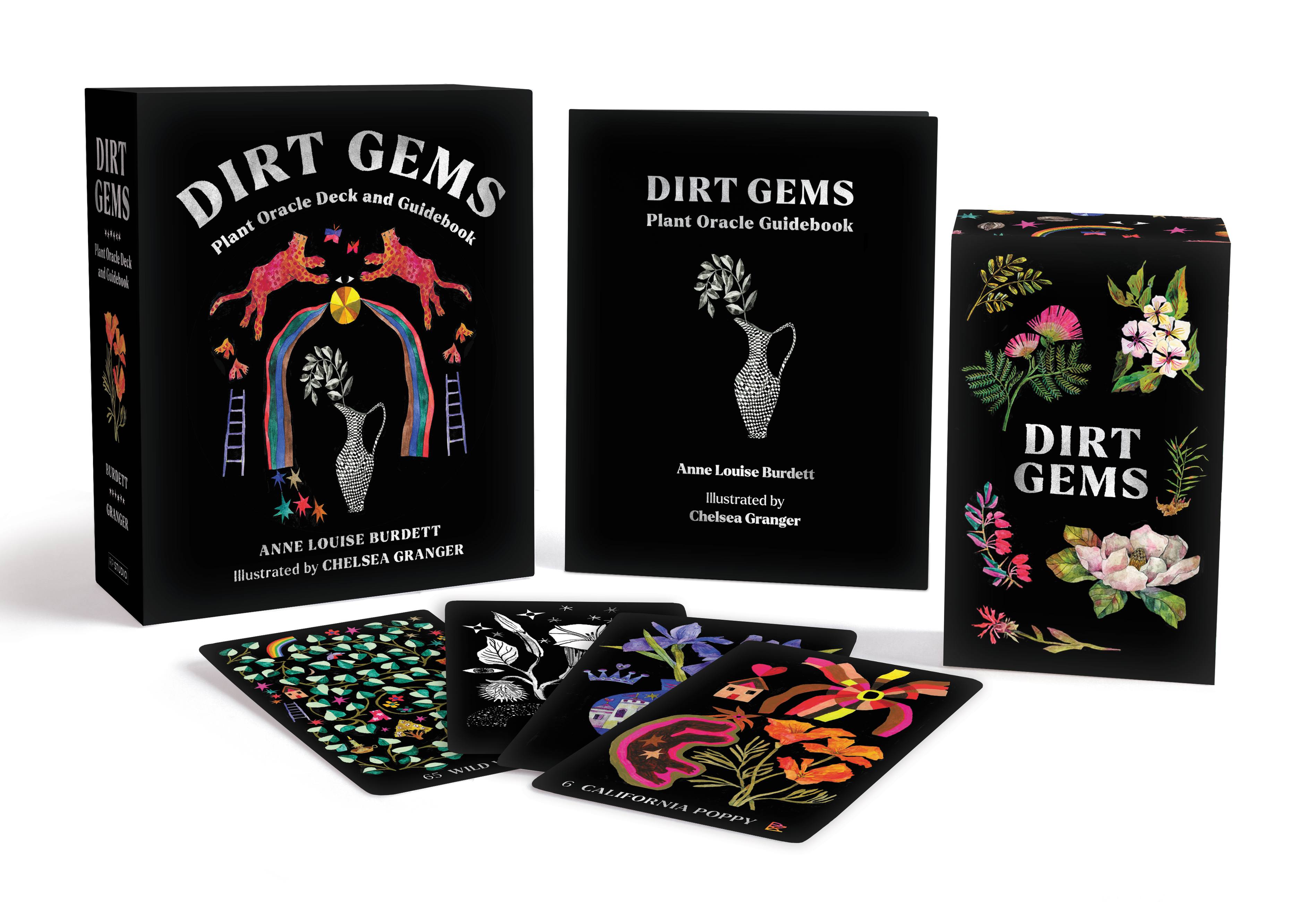 Dirt Gems by Anne Louise Burdett & Chelsea Granger | Hachette Book