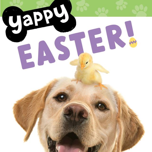 Yappy Easter!