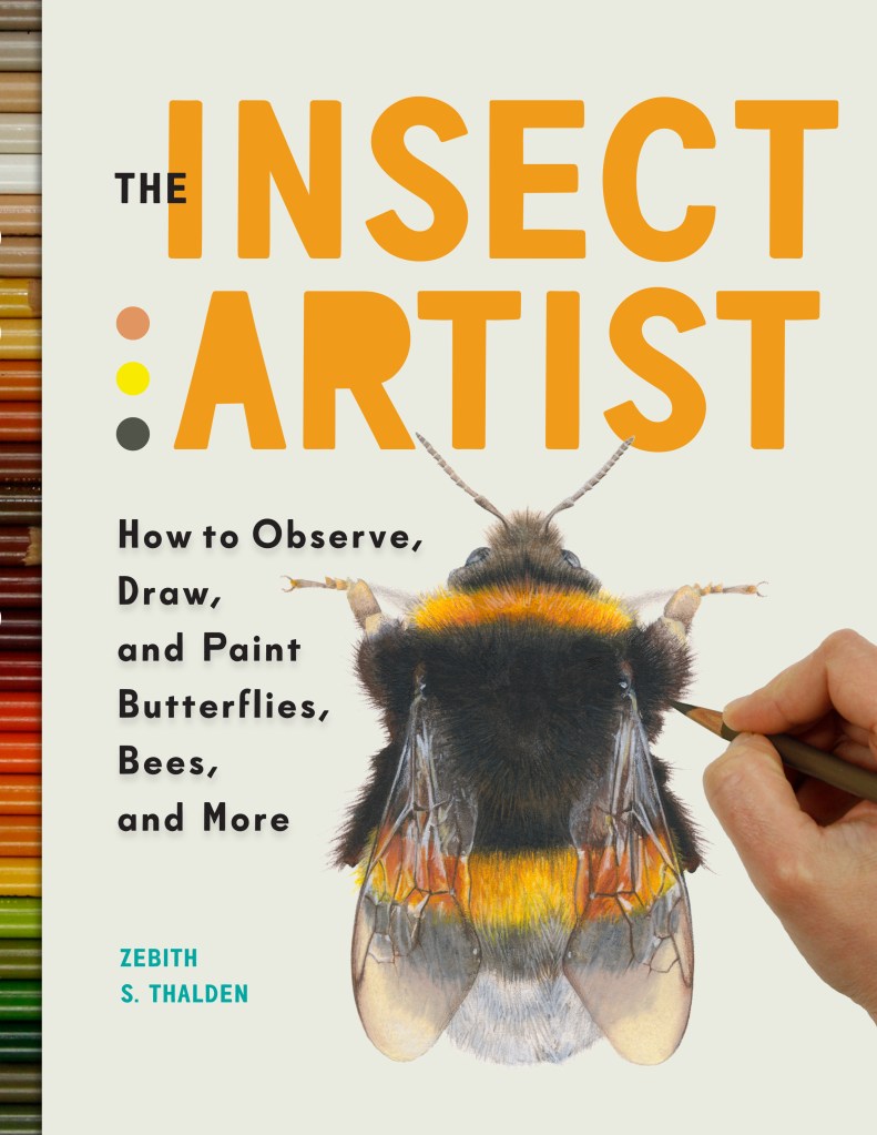 Book cover image of The Insect Artist by Zebith Stacy Thalden.
