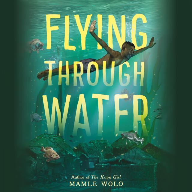 Flying Through Water