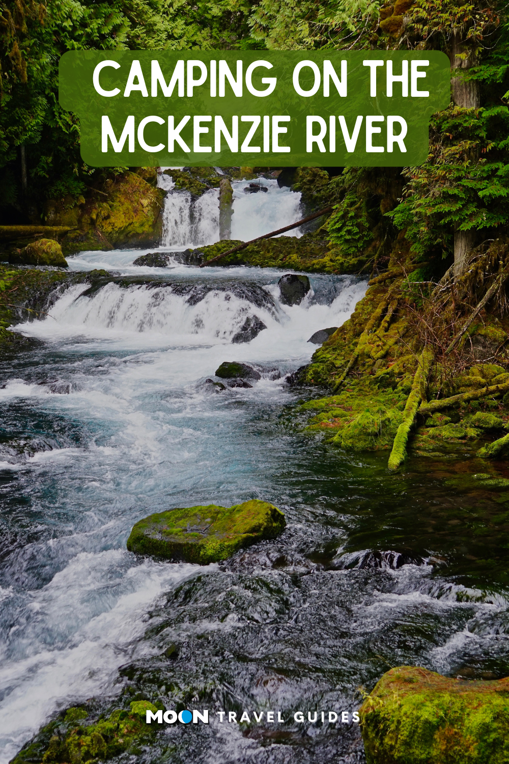 for pinterest: a rushing waterfall surrounded by mossy trees