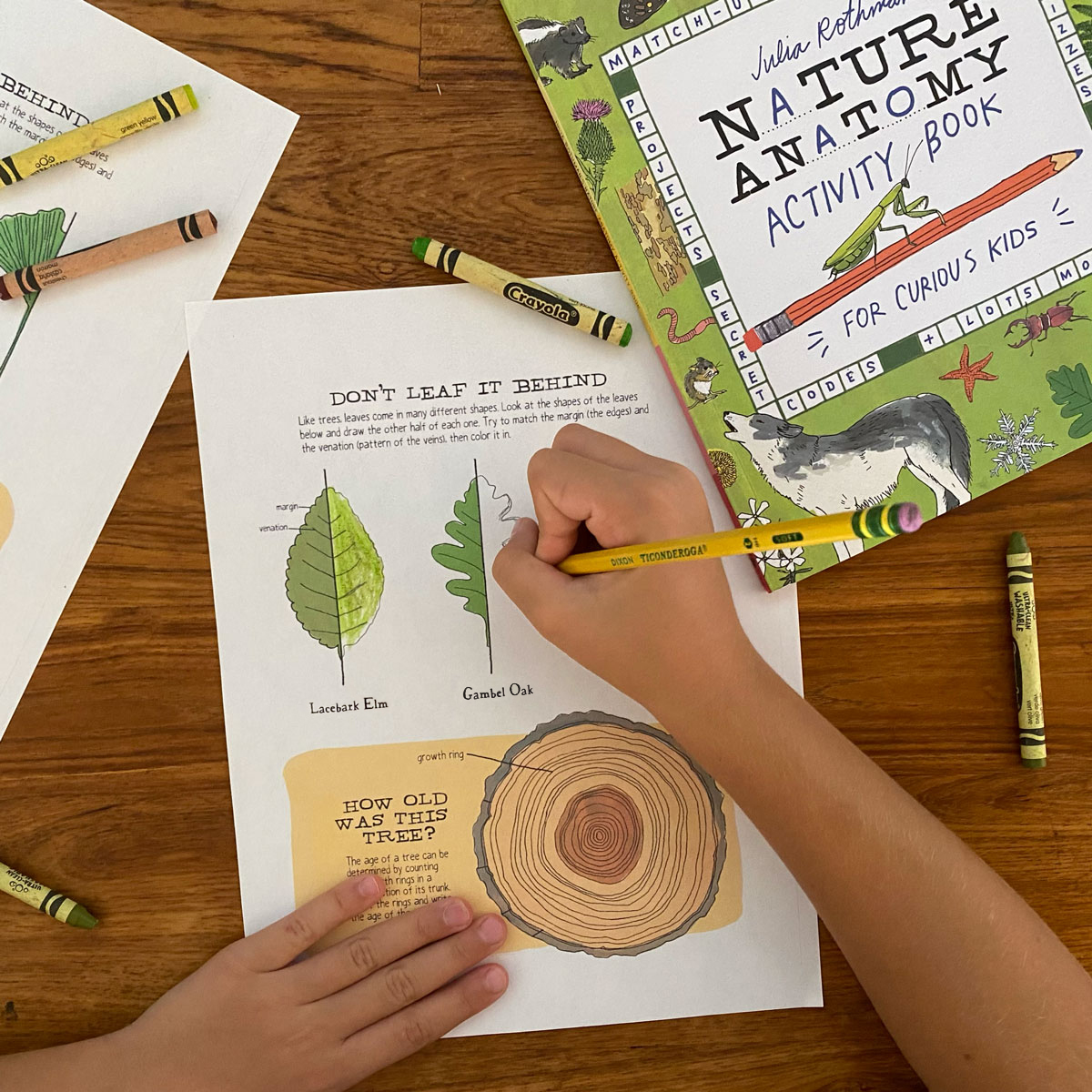 Julia Rothman’s Don’t Leaf It Behind activity sheet | Hachette Book Group