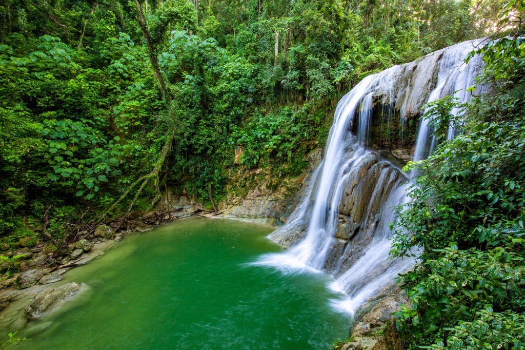 Flowing waterfalls into a green pool in lush rainforest.