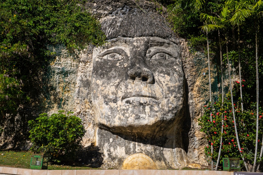 Large stone carving of a face in a rock wall surrounded by trees.