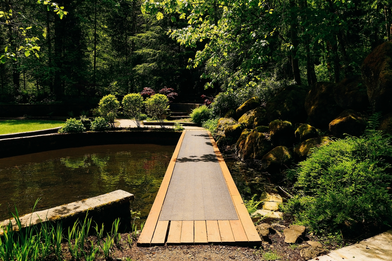 Wooden pedestrian bridge over forest and pond.