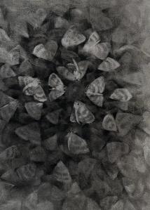 Black and white drawing of moths from "Gentle Chaos"