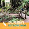 Cover image of California's Best Nature Walks by Charles Hood