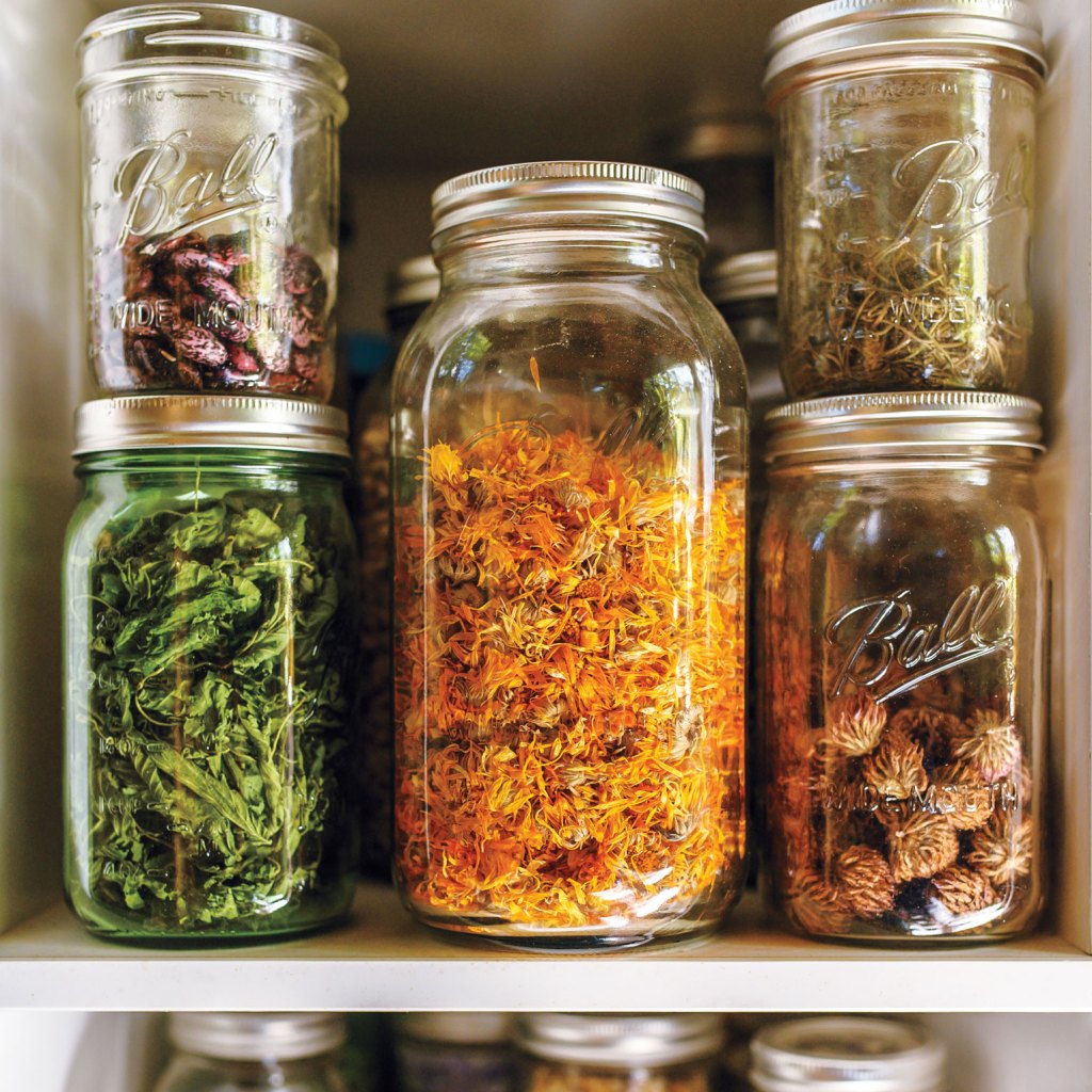 Photo of glass jars filled with dried herbs.