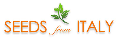 Seeds of Italy logo