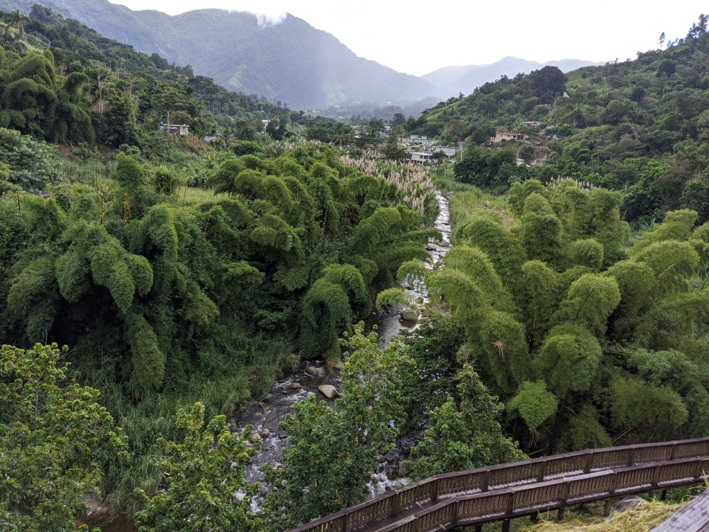 A river running through a lush jungle valley with mountains in the distance, as seen from a pedestrian bridge.