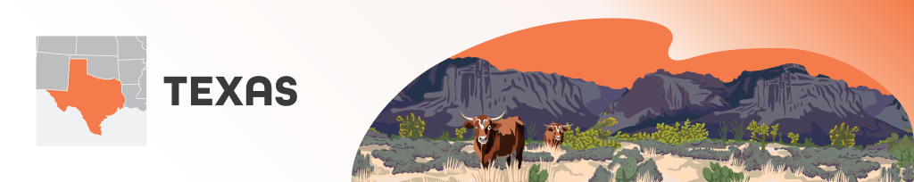 Regional Texas books, illustrations of long horn cattle 