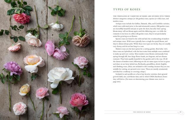 Grace Rose Farm: Garden Roses by Gracielinda Poulson | Hachette Book Group