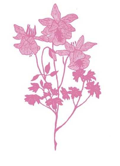 An illustration of flowers on their stem from the "Pleasure Alchemy" guidebook, rendered in pink
