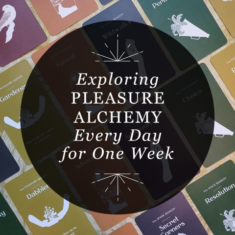 Exploring Pleasure Alchemy Every Day for One Week