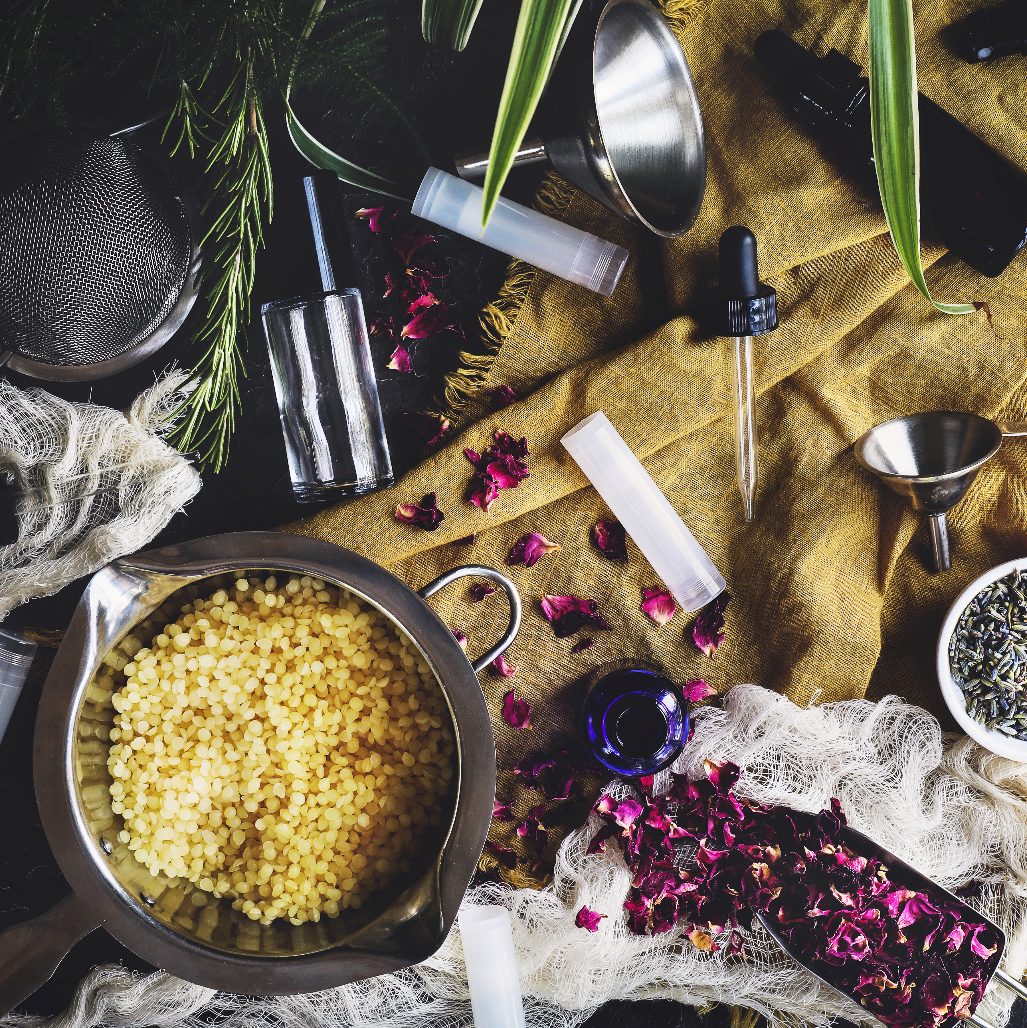 Mountain Rose Herbs Q&A | Hachette Book Group