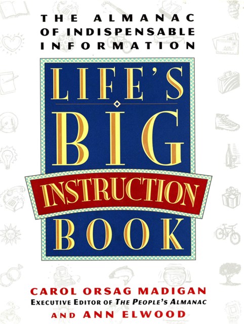 Life's Big Instruction Book