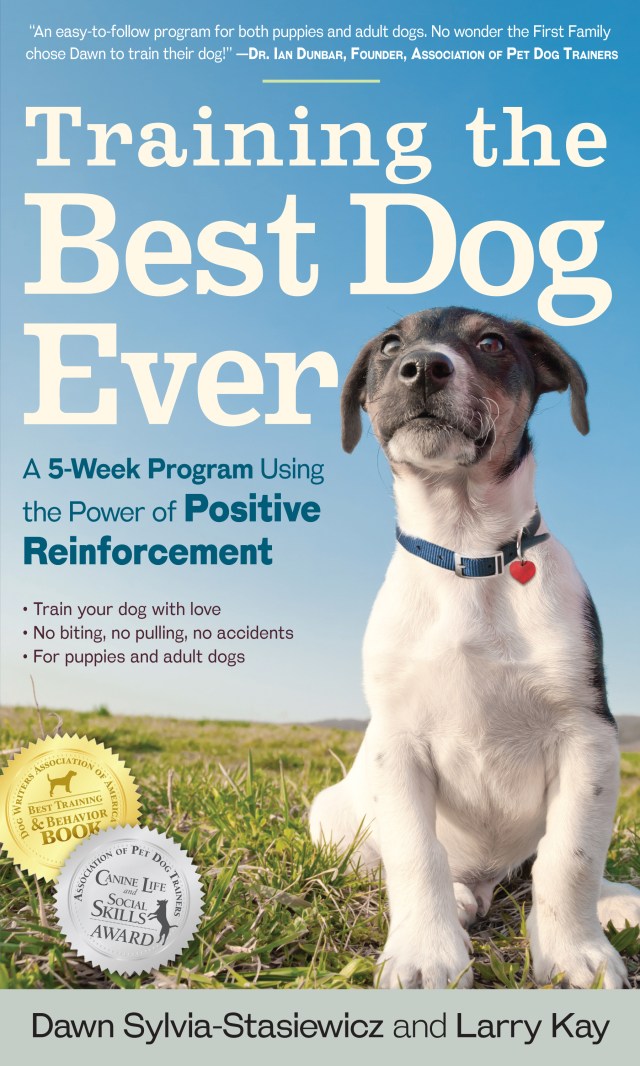 Training the Best Dog Ever by Larry Kay Hachette Book Group