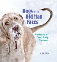 Dogs with Old Man Faces