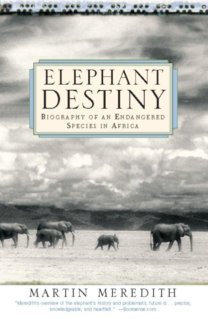 Elephant Destiny