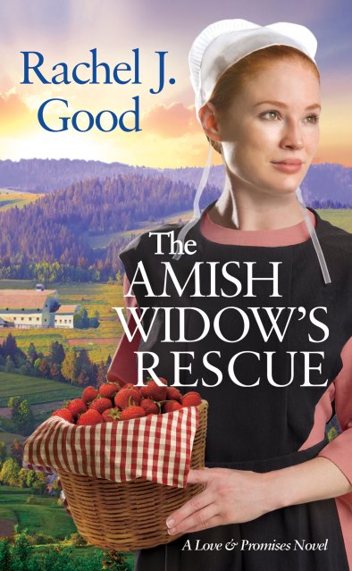 The Amish Widow's Rescue