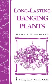 Long-Lasting Hanging Plants