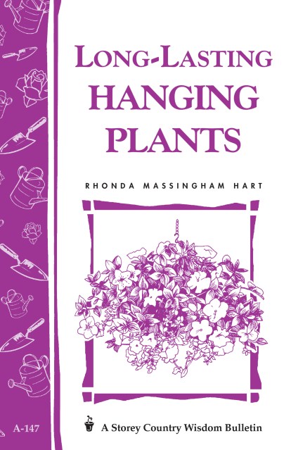 Long-Lasting Hanging Plants