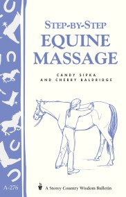 Step-by-Step Equine Massage
