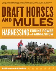 Draft Horses and Mules
