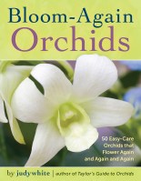 Bloom-Again Orchids