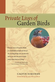 Private Lives of Garden Birds