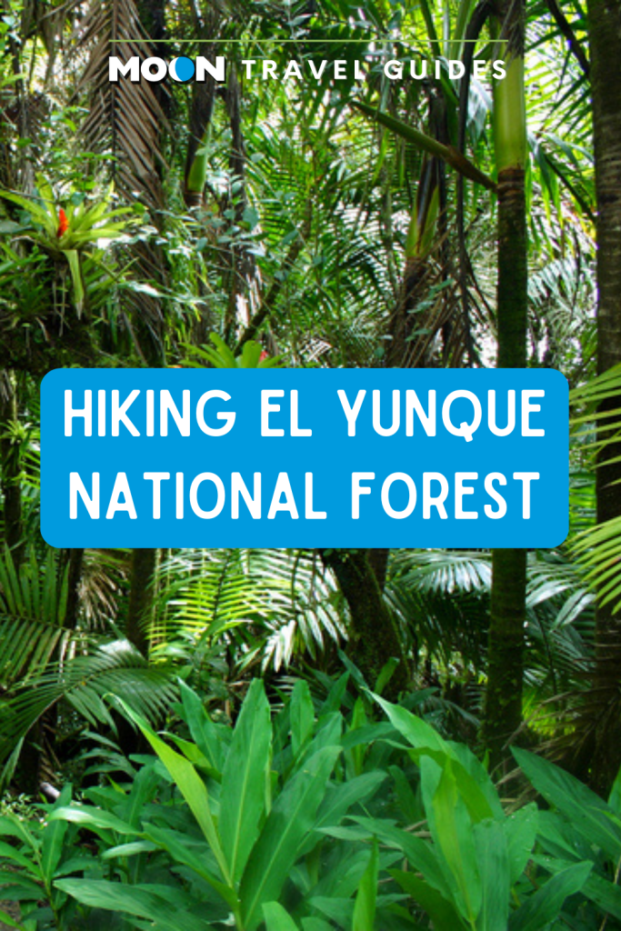 Picture of rainforest with text Hiking El Yunque National Forest