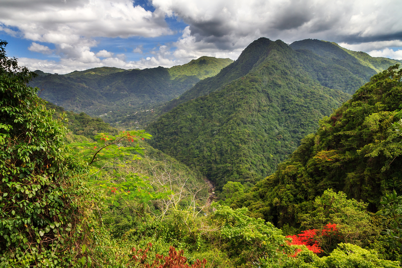 Lush green mountains covered in jungle.
