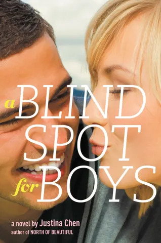 A Blind Spot for Boys Educator Guide PDF download