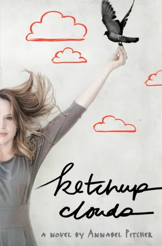 Ketchup Clouds Educator Guide PDF download