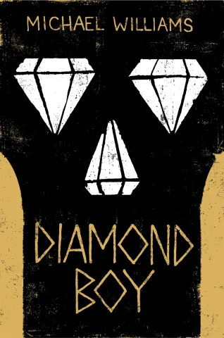 Diamond Boy Educator Guide PDF download