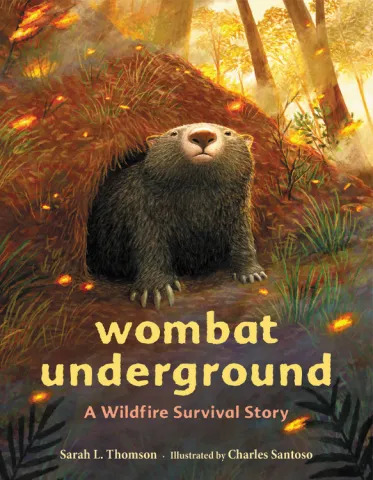 Wombat Underground Teaching Tips PDF download